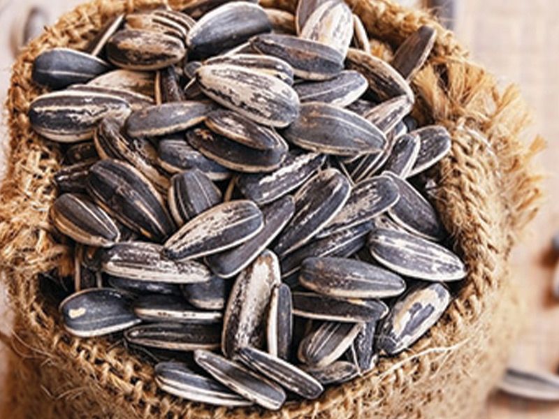Syrian seed