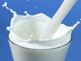 Milk