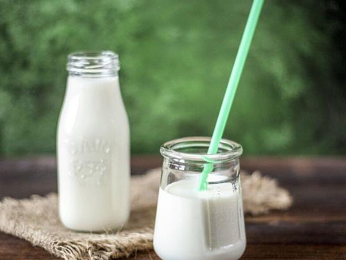 Rayeb milk drink