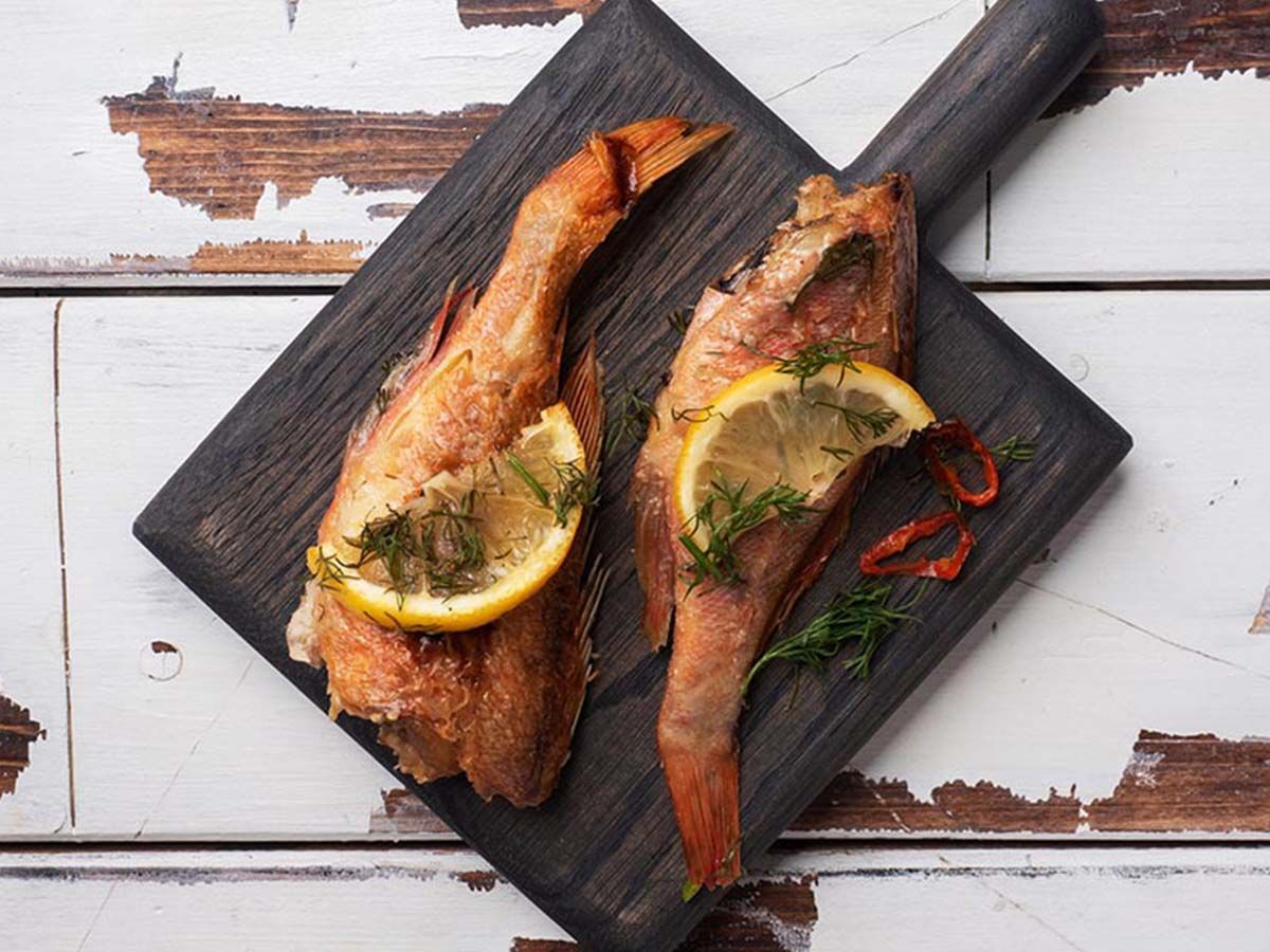 Croaker fish