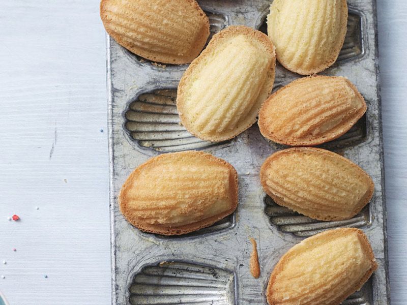 Madeleine With Nuts