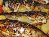 Mackerel With Shrimp And Potatoes Tray
