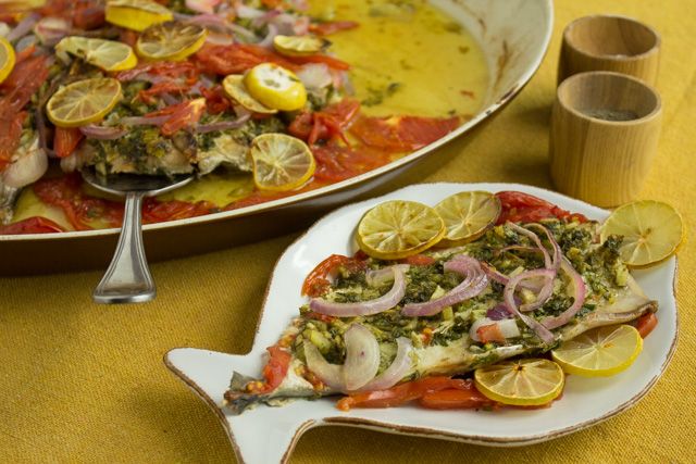 Singary Tuna Mackerel