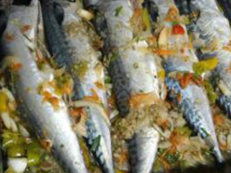Mackerel