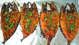 Sengari Mackerel