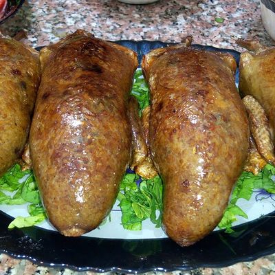 Stuffed pigeon