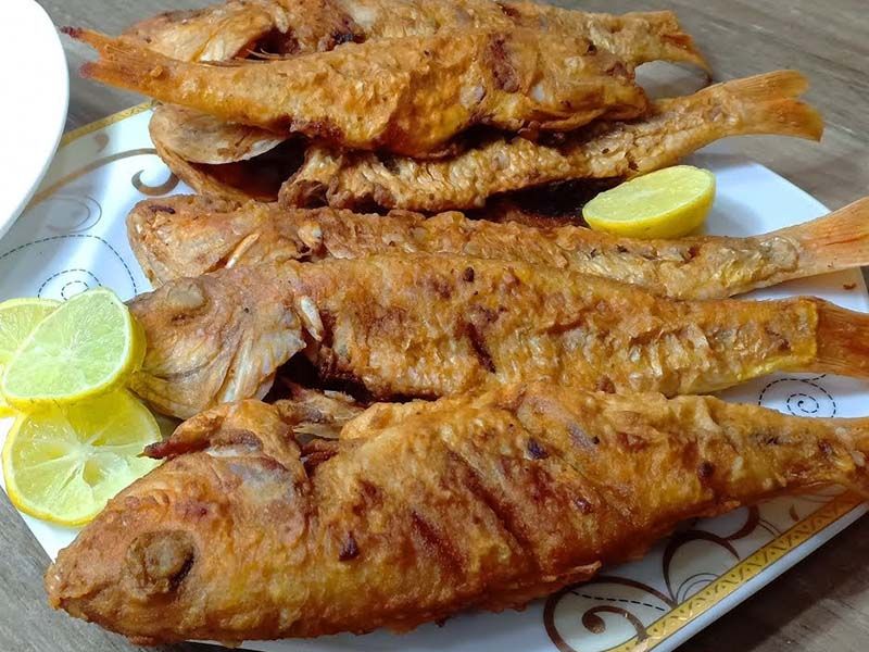 Sea Bream Fish