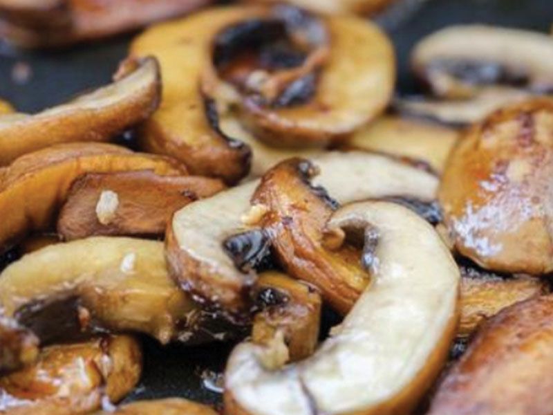 Mushroom