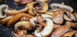 Mushroom