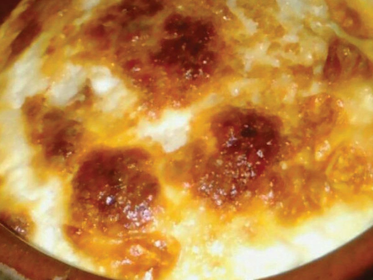 Plain oven baked Casserole