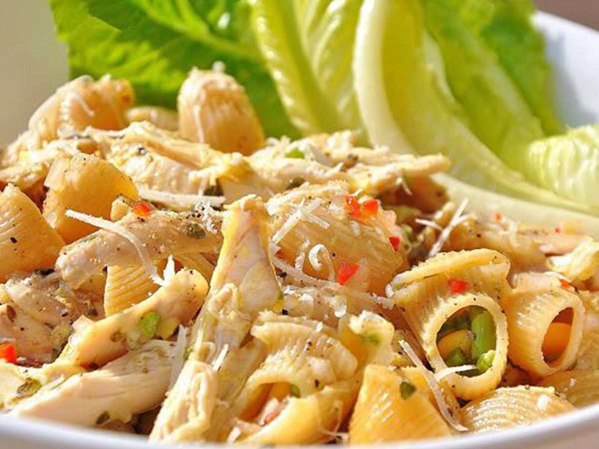 white sauce pasta with chicken