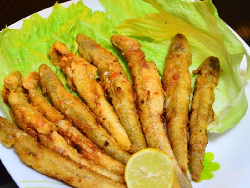 Suez Macaroni Fish