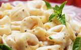 Four Cheese Pasta