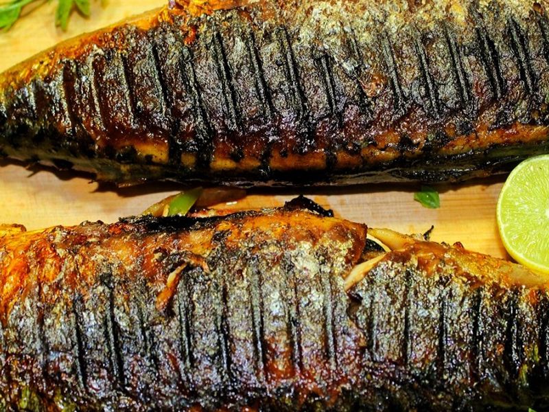 Mackerel Fish