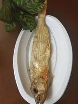 Aswani Melouha