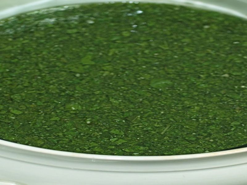 Plain Molokhia Casserole