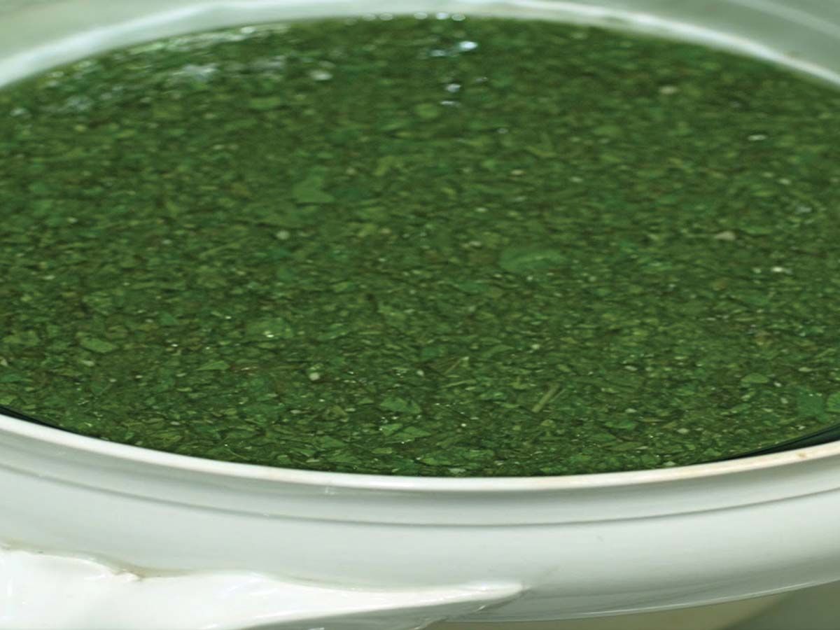 Plain molokhia