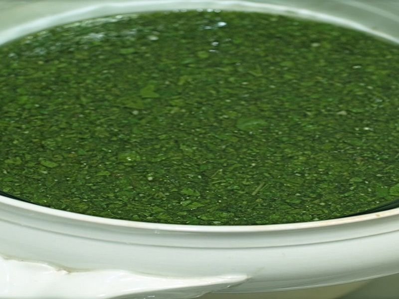 Molokhia