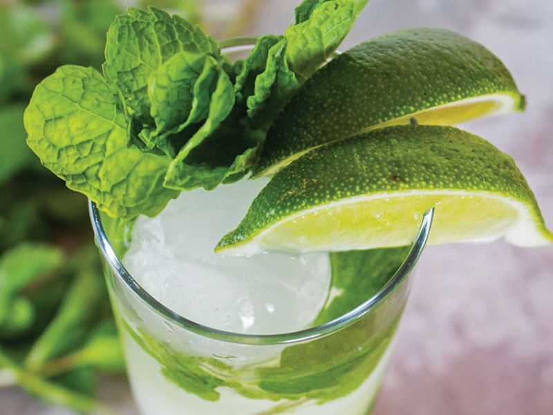 Classic Mojito