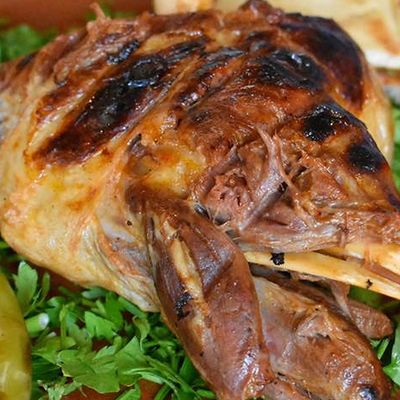 Grilled Shank