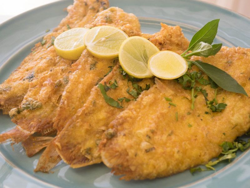 Baladi Sole Fish