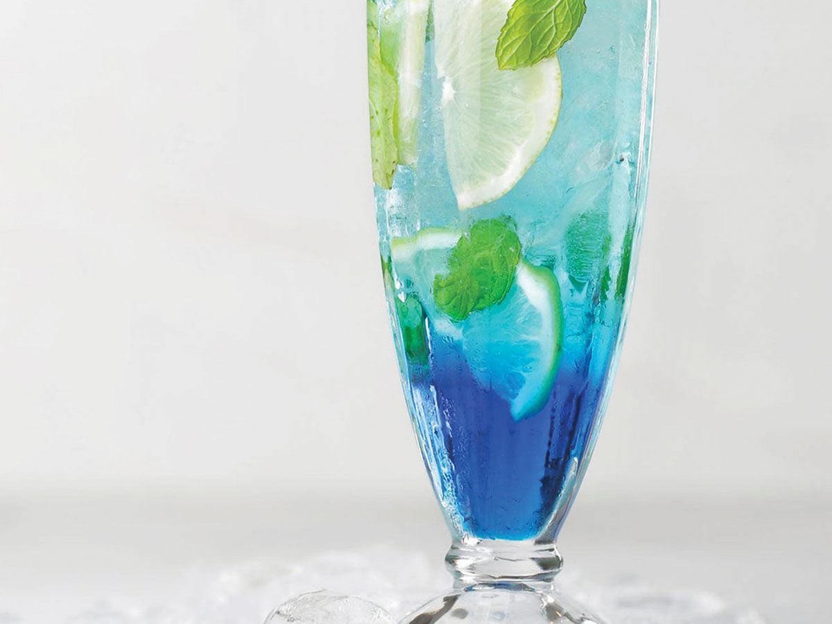 Blueberry Mojito