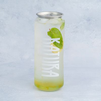 Passion Fruit Mojito