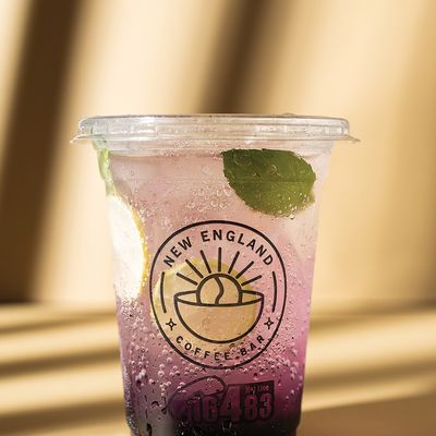 Blueberry Mojito