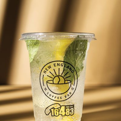 Lemon Mint Mojito