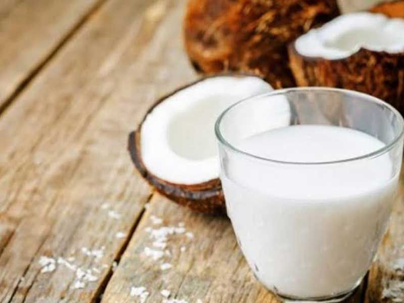 Coconut Milkshake