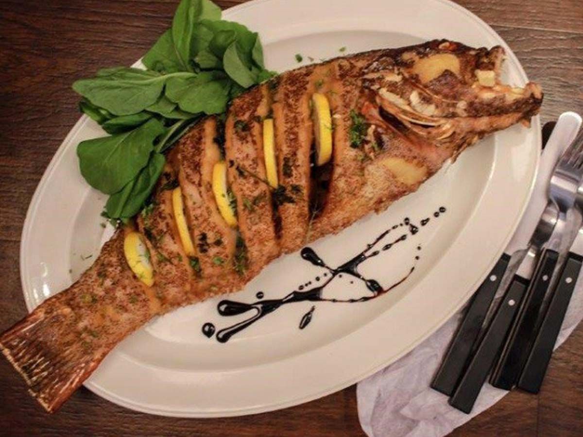 Coral Trout fish
