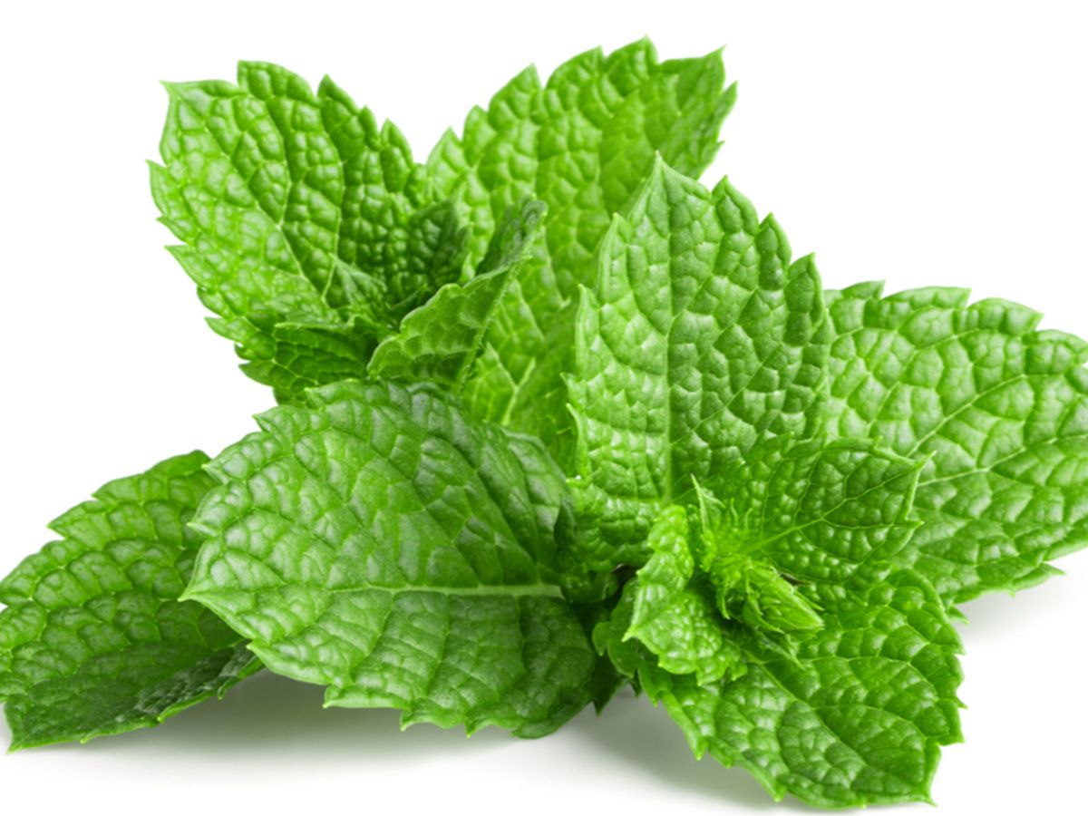 Mint