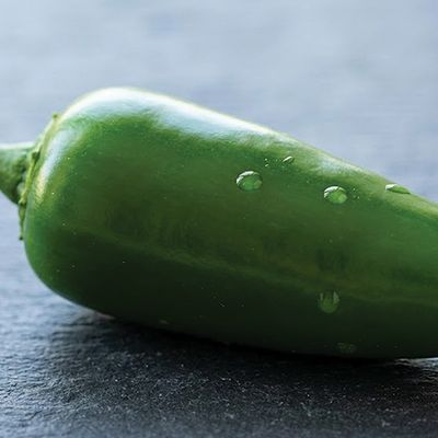 Jalapeno