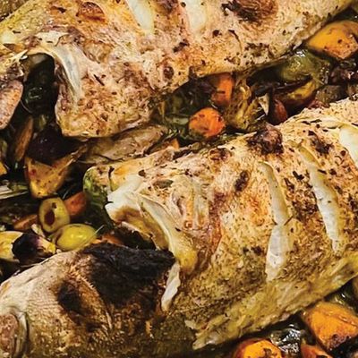 Hamour Fish