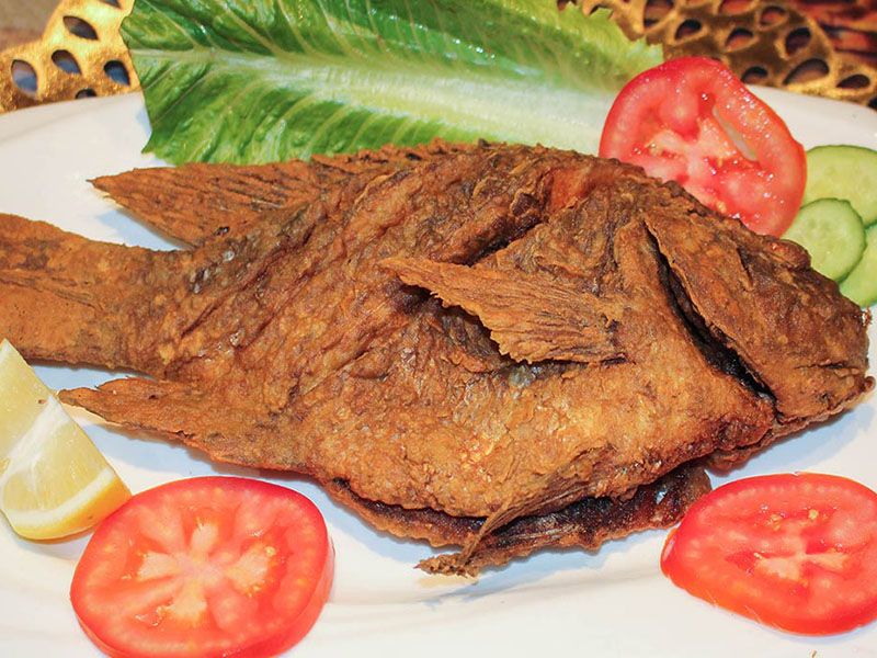 Tilapia Meal