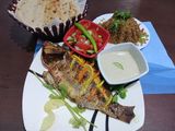 Tilapia Fish Meal