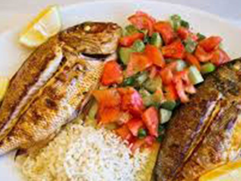 Tilapia Fish Meal