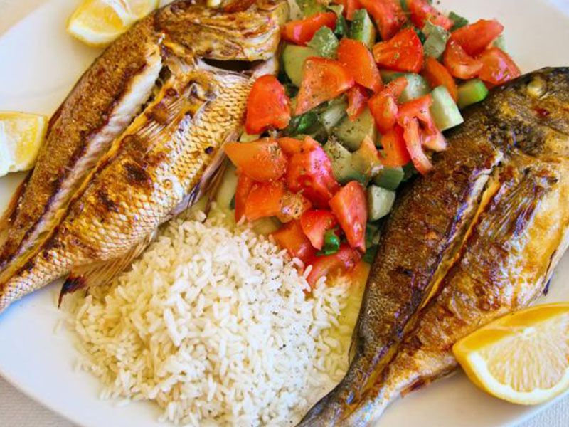 Tilapia Fish Meal