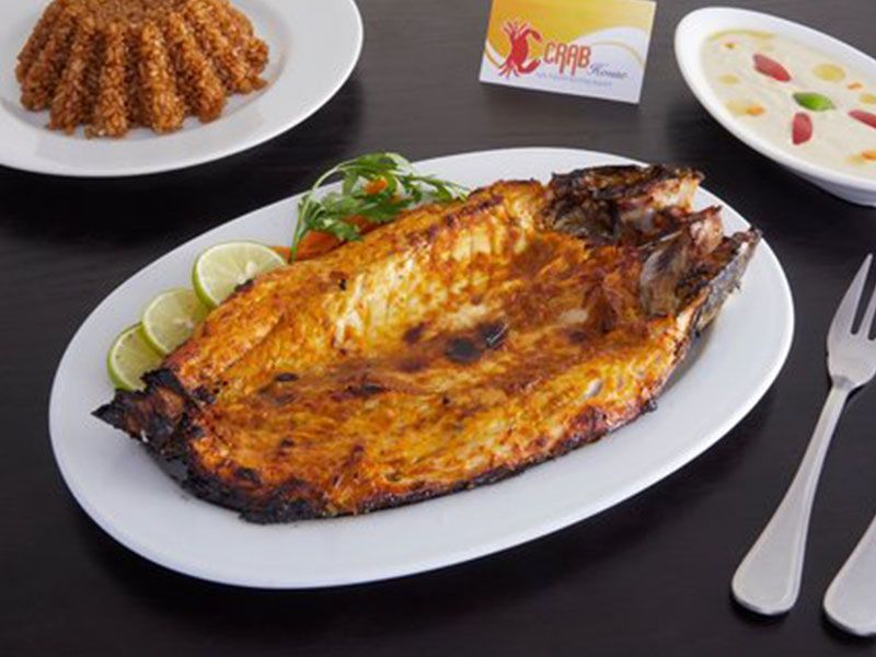 Grey Mullet Fish Meal