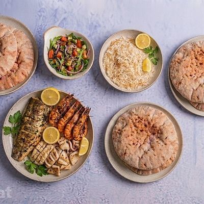 Shrimp Fillet Squid Meal