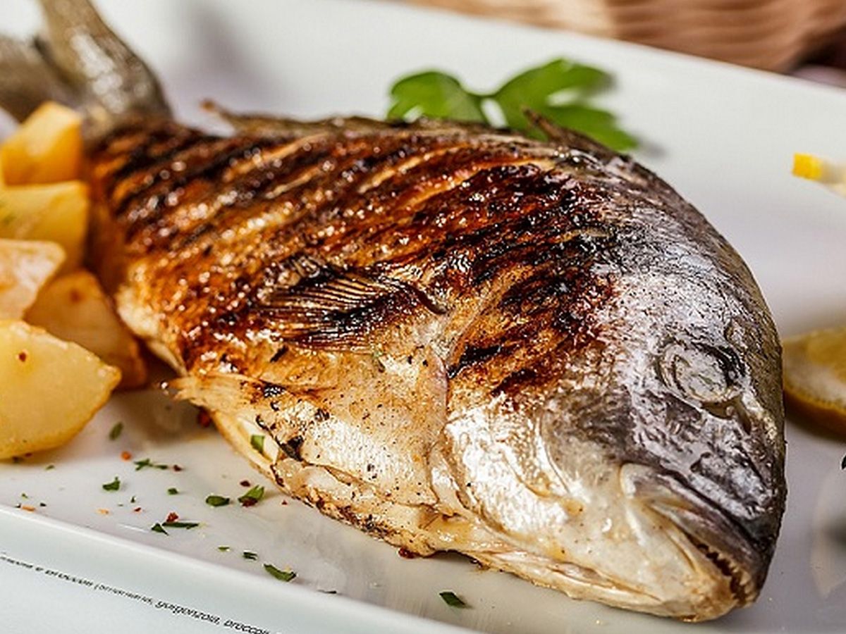 Gilthead Bream meal