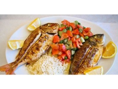 Tilapia Fish Meal