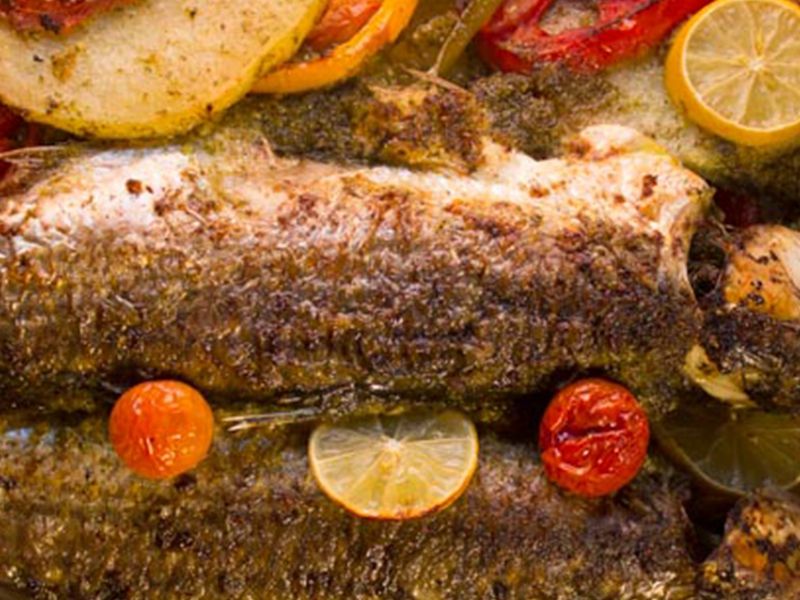 Grey Mullet Fish meal