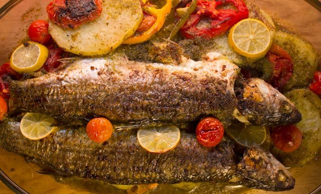 Grey Mullet Fish Meal