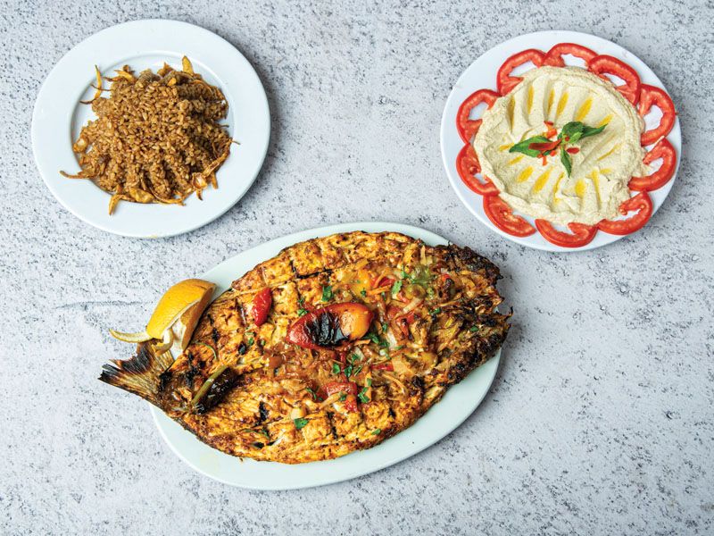 Mullet Fish Meal