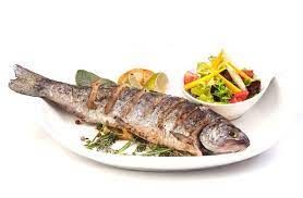 Grey Mullet Fish Meal