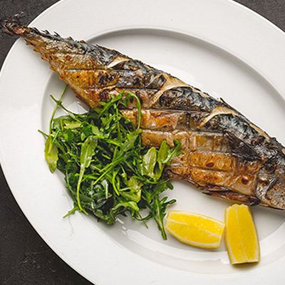 Norwegian Mackerel