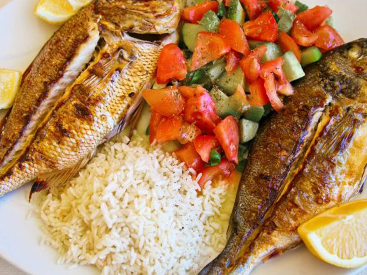 Tilapia Fish Meal