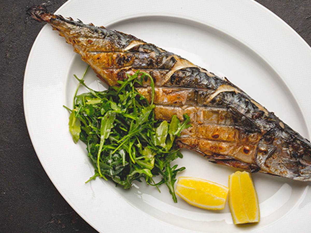 Mackerel Fish Meal