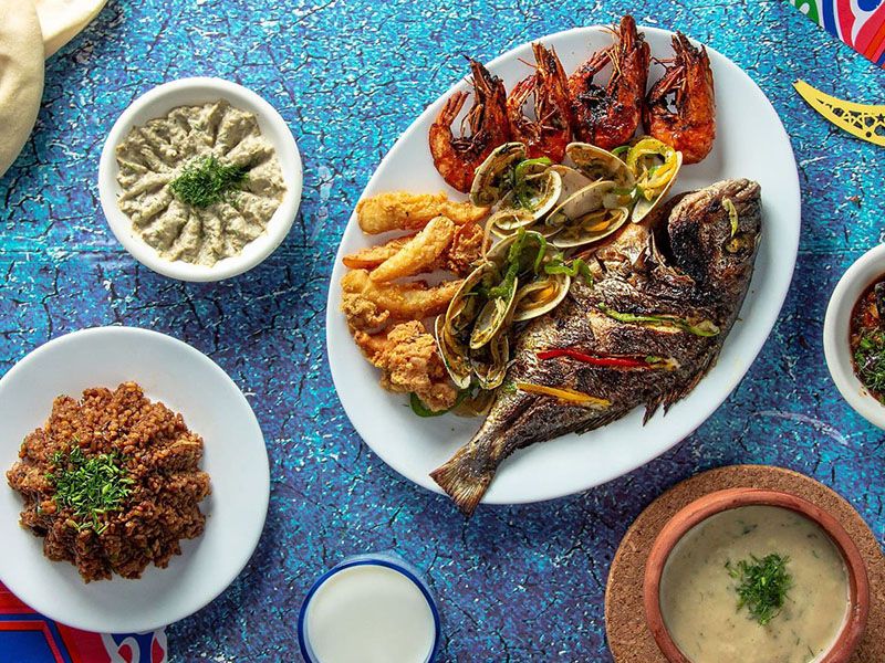 King Fish Meal